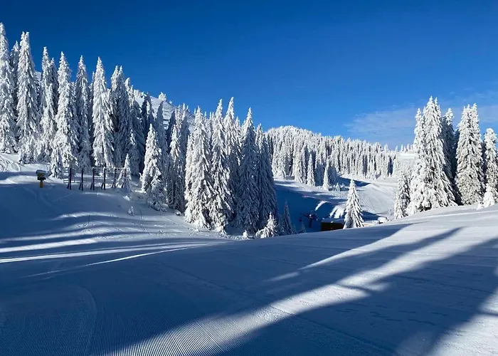 Olimpik House Lodge *